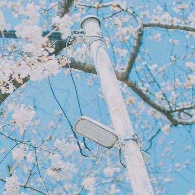 剑之觉醒正版游戏下载